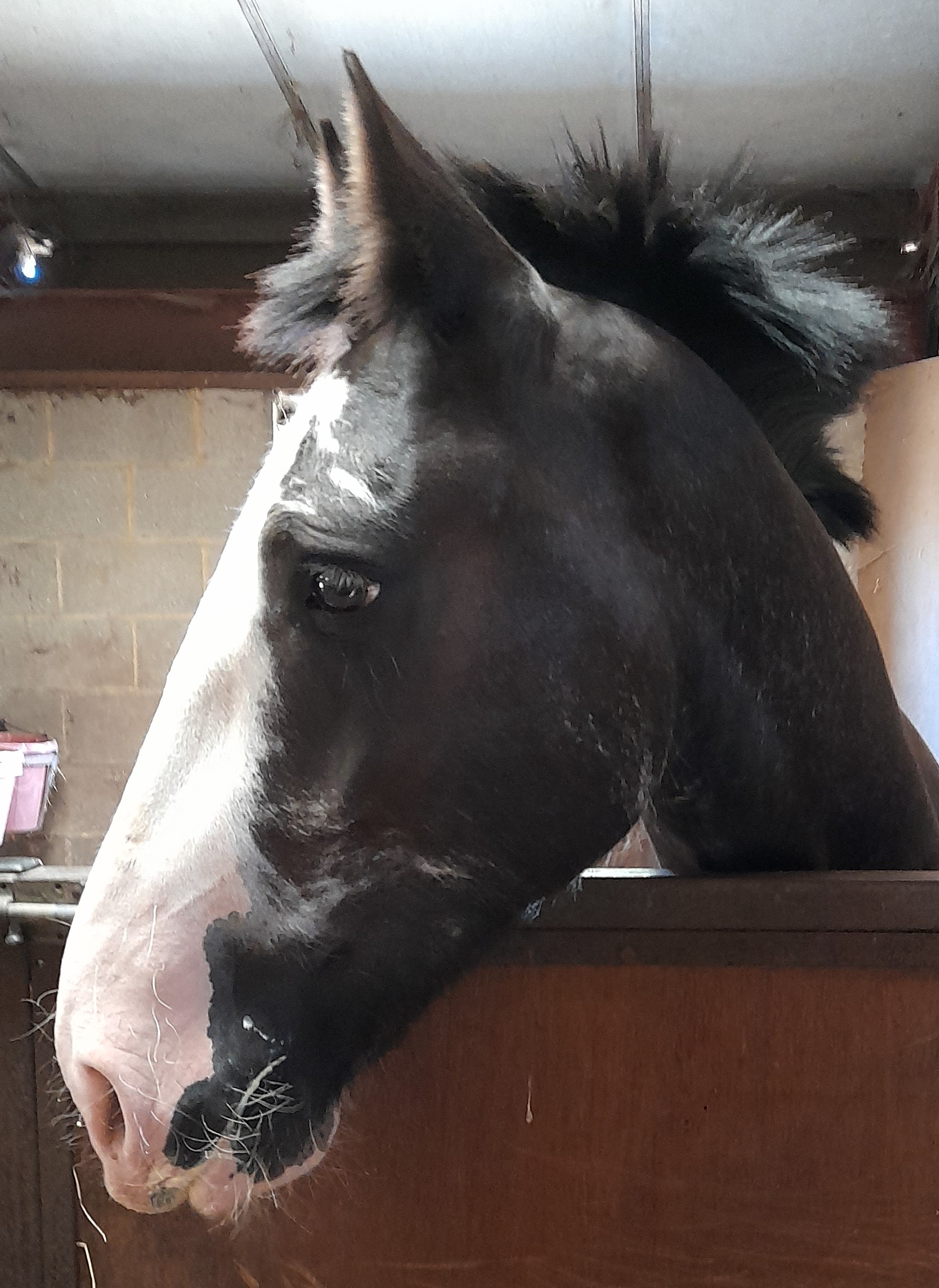 Bradbourne Rda Riding School Bradbourne RDA